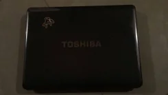 Toshiba Satellite A300D. WiFi, Bluetooth ����
