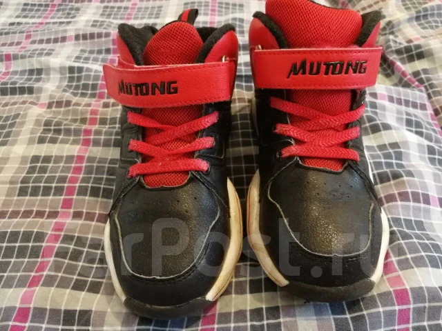 ���������. 32 ����