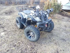 Yamaha Grizzly 250. ��������, ��, �� ����