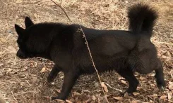 �����. ����