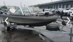 Campion. 1993 ���, ��������� ���������, 140��.�., ������ ����