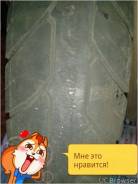 Шины.