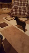 �����. ����