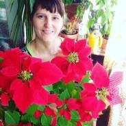 Продам комн цветы