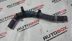 Патрубок радиатора. Toyota Corolla Spacio, ZZE122, ZZE122N Toyota Allex, ZZE122 Toyota Corolla Fielder, ZZE122, ZZE122G Toyota Corolla Runx, ZZE122 Дв...
