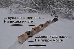 Проводник в тайгу