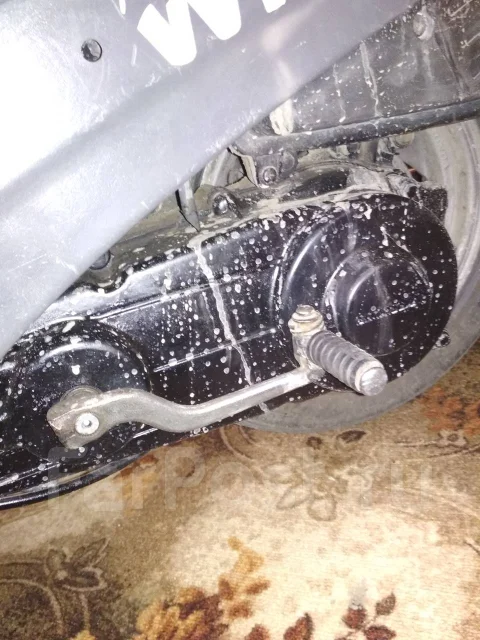 Honda Lead 50. 110����. ��., ��������, ���������, ������ �� �� ����
