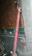 ������� ����, ������ hino FW ����