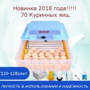 Инкубаторы.