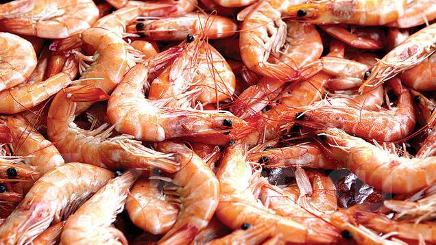 Как выглядят креветки сырые и вареные фото