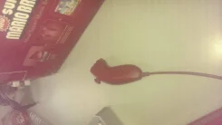 Nintendo Wii ����