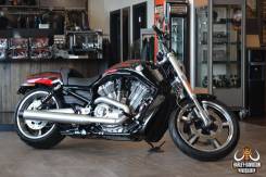 Harley-Davidson V-Rod Muscle VRSCF. 1 250 куб. см., исправен, птс, без пробега