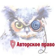 Регистрация и защита авторских прав