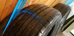 Sprut. ������, 2017 ���, �/�, ����� 5�%