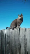 �����.