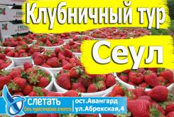Южная Корея. Сеул. Экскурсионный тур. Клубничный ТУР В СЕУЛ! билеты на паром включены в стоимость!