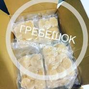 Морской гребешок.