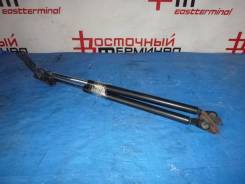 Амортизатор багажника TOYOTA NADIA