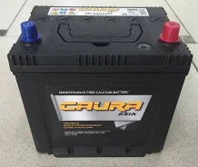 Caura. 60��.�., �������� (�����), ������������ ����� ����