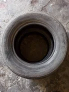 Tunga Camina. ������, 2012 ���, �/�, ����� 50�%