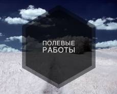 28 Мая. Работа на полях в Южной Корее