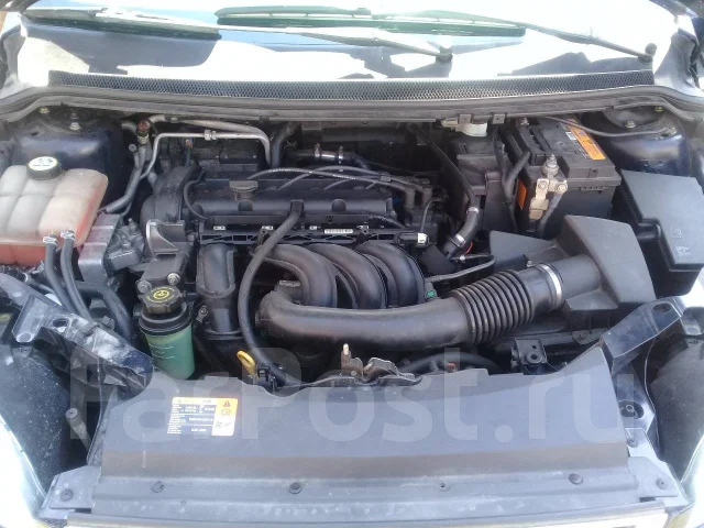 Ford Focus. �������, ��������, 1.6 (100��.�.), ������, 91 000����. �� ����