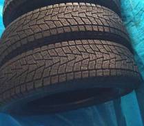 Bridgestone Winter Dueler DM-Z2. Всесезонные, 30 %, 2 шт