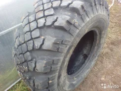 �������� ����-2000. ����� mt, �/�, ����� 5 % ����