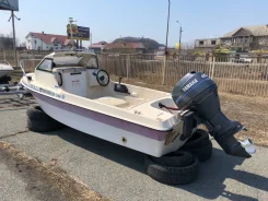 Yamaha Fish 15. 1991 ���, ����� 4,5��., ��������� ���������, 40��.�., ������ ����