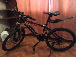Alpine ����