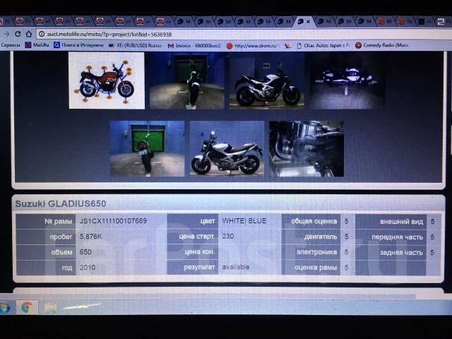 Suzuki SFV 650 Gladius. 650����. ��., ��������, ���������, ��� ������� ����