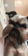 �������. ����