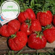 Растения, саженцы, семена.