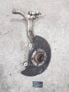 Кулак поворотный. Audi: A4 Avant, S, A4, Quattro, RS4, S4 Двигатели: ALT, ALZ, AMB, AMM, ASB, ASN, AUK, AVK, AWA, BBJ, BBK, BCZ, BDG, BDV, BFB, BFC, B...