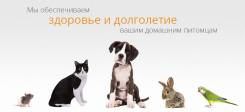 Ветеринарная клиника профессора Кулешова, опыт работы более 30 лет!