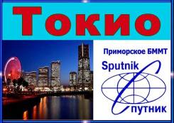 Япония. Токио. Экскурсионный тур. Парад цветов