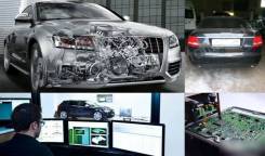 Удаление катализатора, EGR, DPF, AdBlue