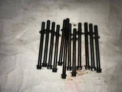 Болт головки блока цилиндров. Honda: Rafaga, Ascot, Saber, Inspire, Vigor, Accord Inspire Acura TL Двигатели: G20A, G25A, G25A2, G25A3, G25A5