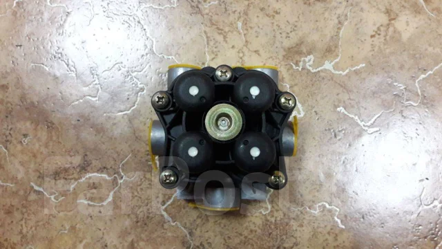 ������ ����