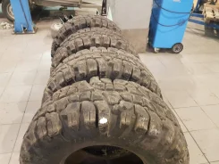 Interco TSL Thornbird. ����� mt, 2010 ���, �/�, ����� 30 % ����