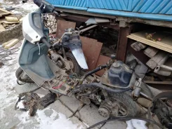Honda Tact AF-24 ����