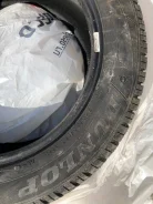 Dunlop Winter Sport 5. �����������, �/�, ����� 20�%
