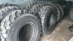 TyRex CRG O-184. �����������, 2016 ���, ����� ����