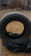 Dunlop D250. ������, �/�, ����� 50�%