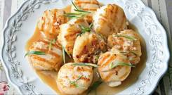 Морской гребешок.