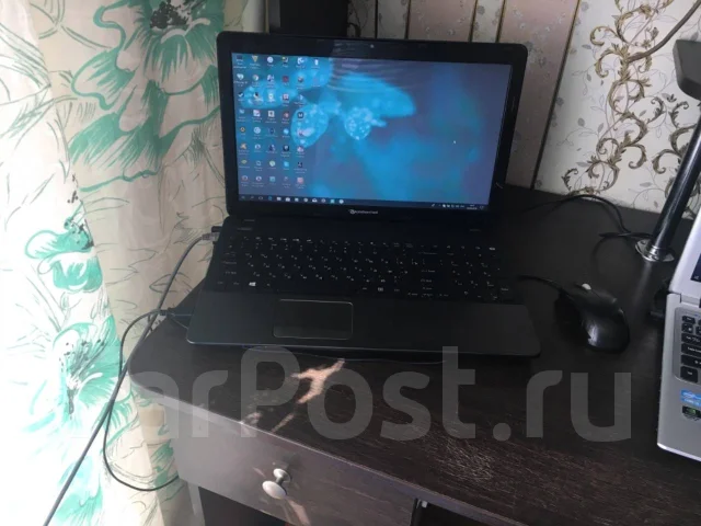 Packard Bell. 15.6", 1,6����, ��� 8 ��, ���� 250���, WiFi: 1, ����������� �� 2��. ����