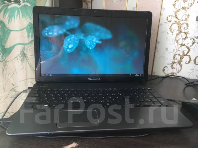 Packard Bell. 15.6", 1,6����, ��� 8 ��, ���� 250���, WiFi: 1, ����������� �� 2��. ����