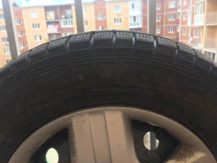 Falken ST Z01. ������, ��� �����, �/�, ����� 20 % ����