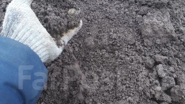�����������. ����
