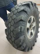 Superstone Crocodile Xtreme. ������, 2013 ���, �/�, ����� 10 % ����